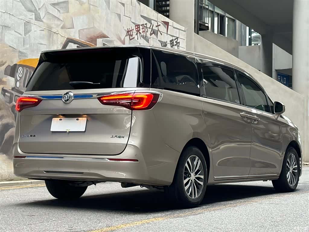 Buick GL8, 2024 все фото