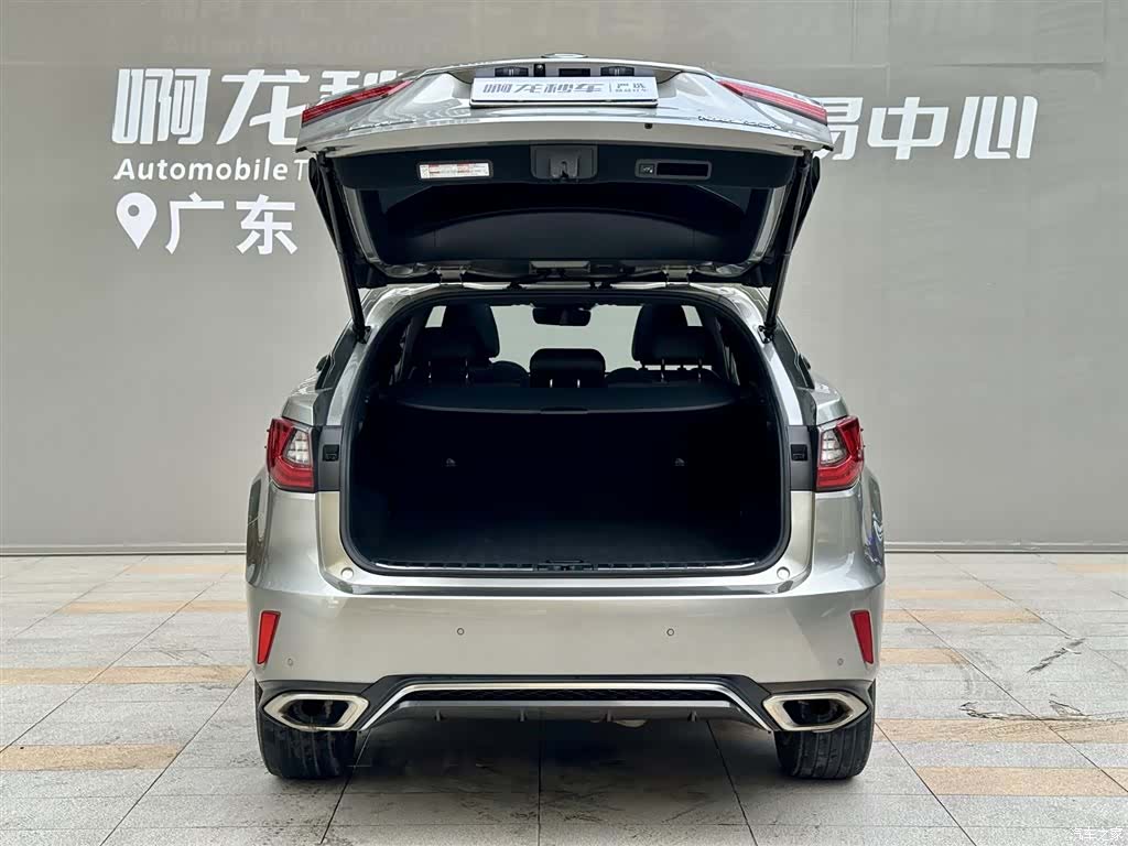 Lexus RX, 2017 17