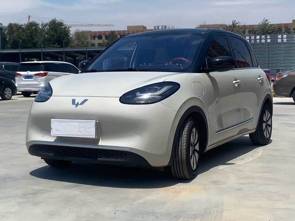 Wuling Binguo