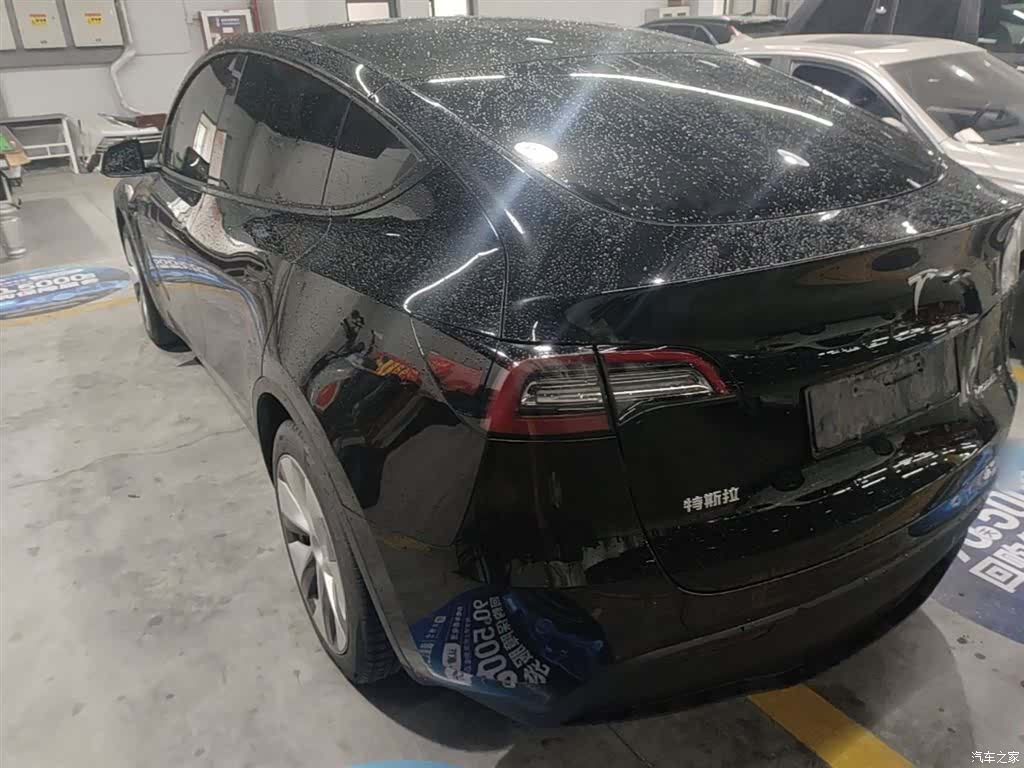 Tesla Model Y, 2023 все фото