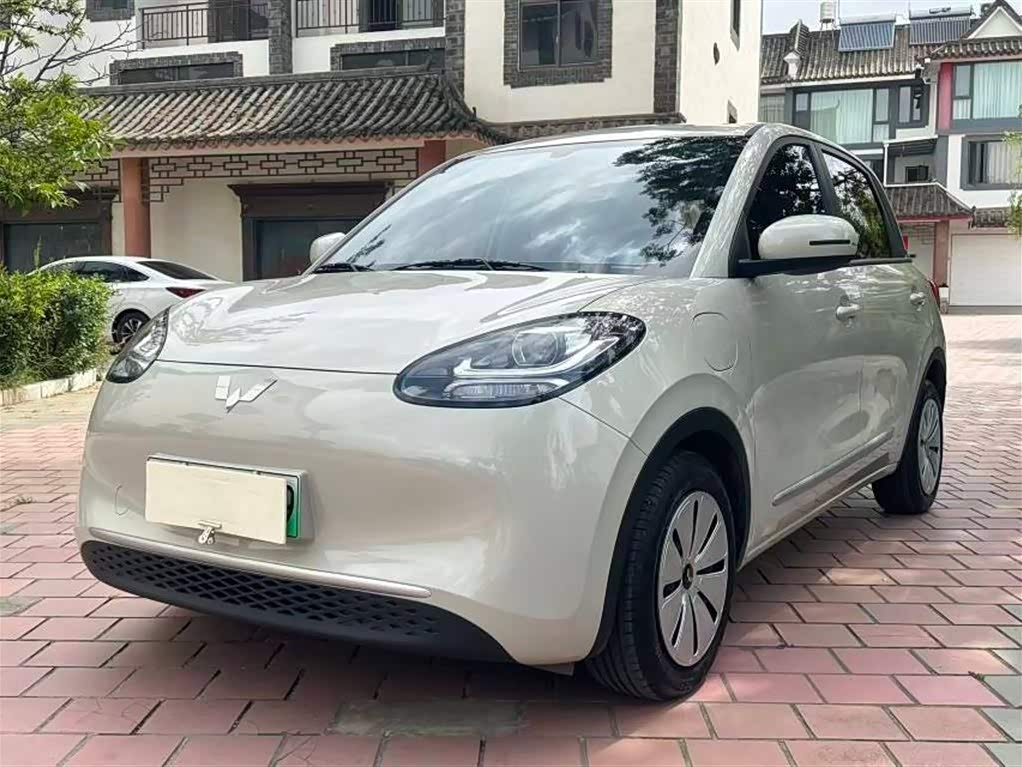 Wuling Binguo