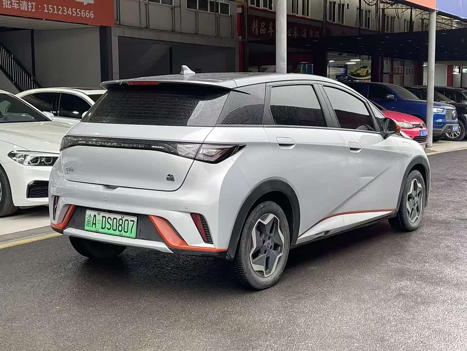 BYD dolphin