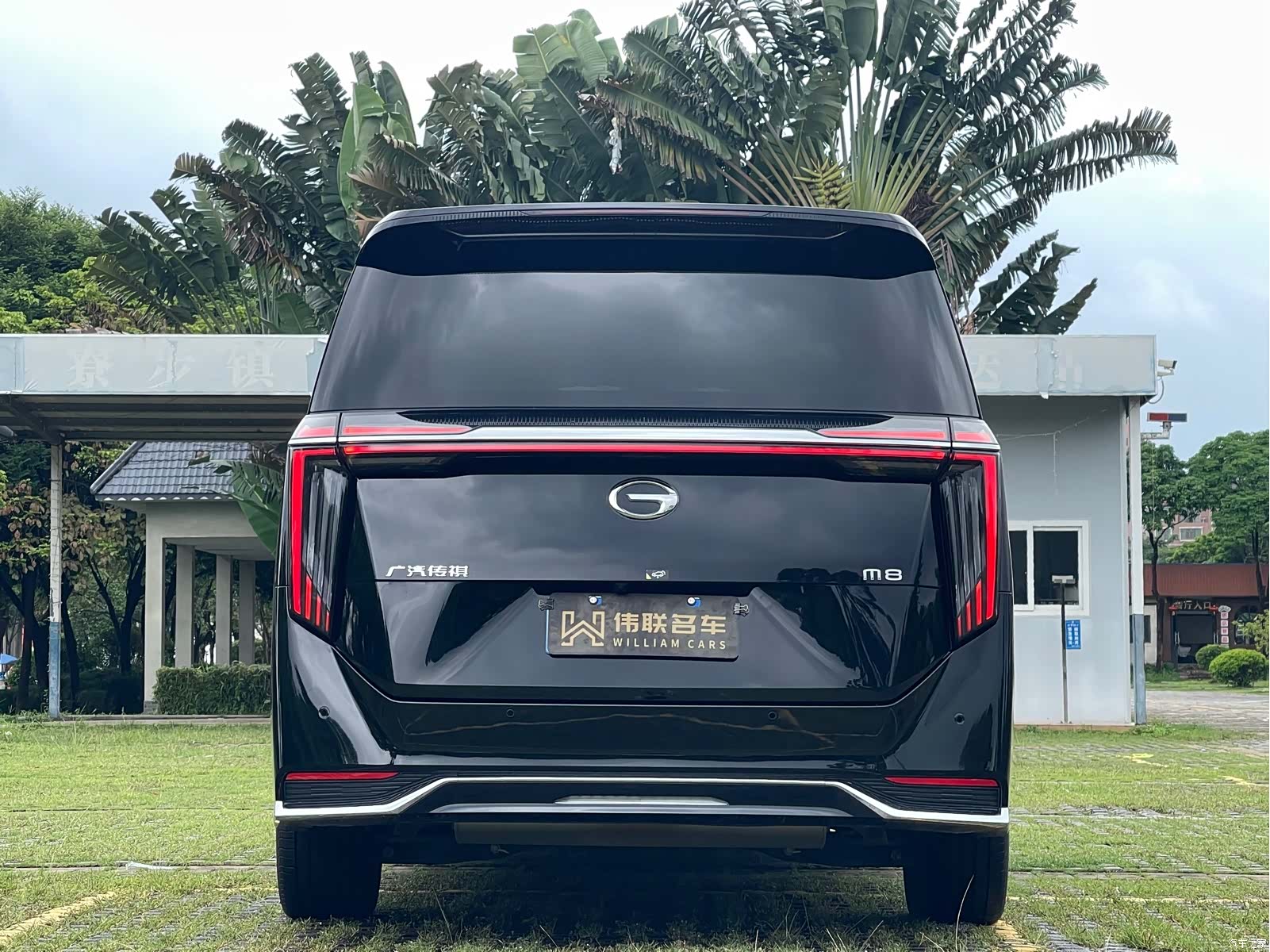 Trumpchi M8, 2024 все фото