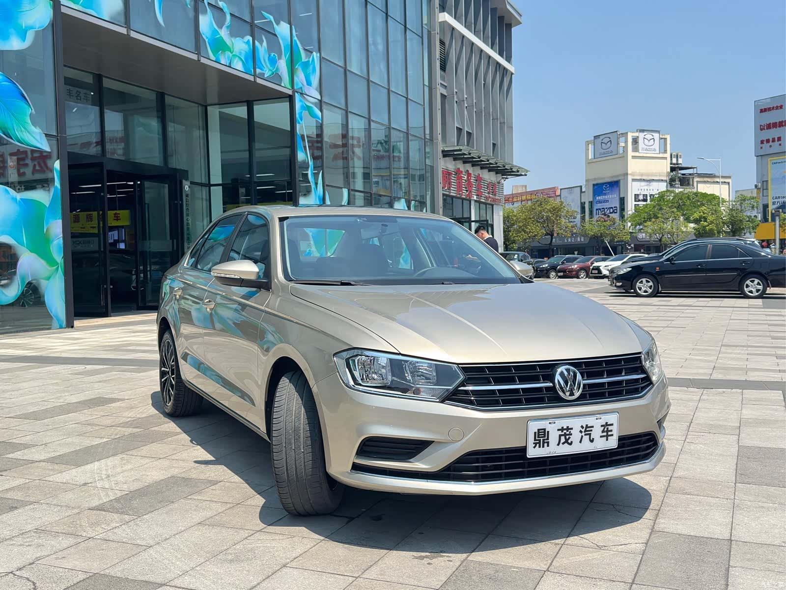 Volkswagen Bora, 2020 9