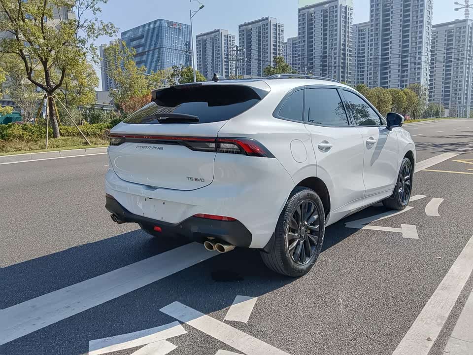 Forthing Popular T5 EVO