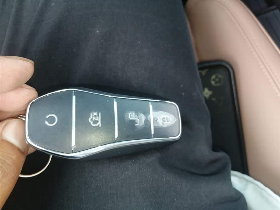 BYD Song L EV