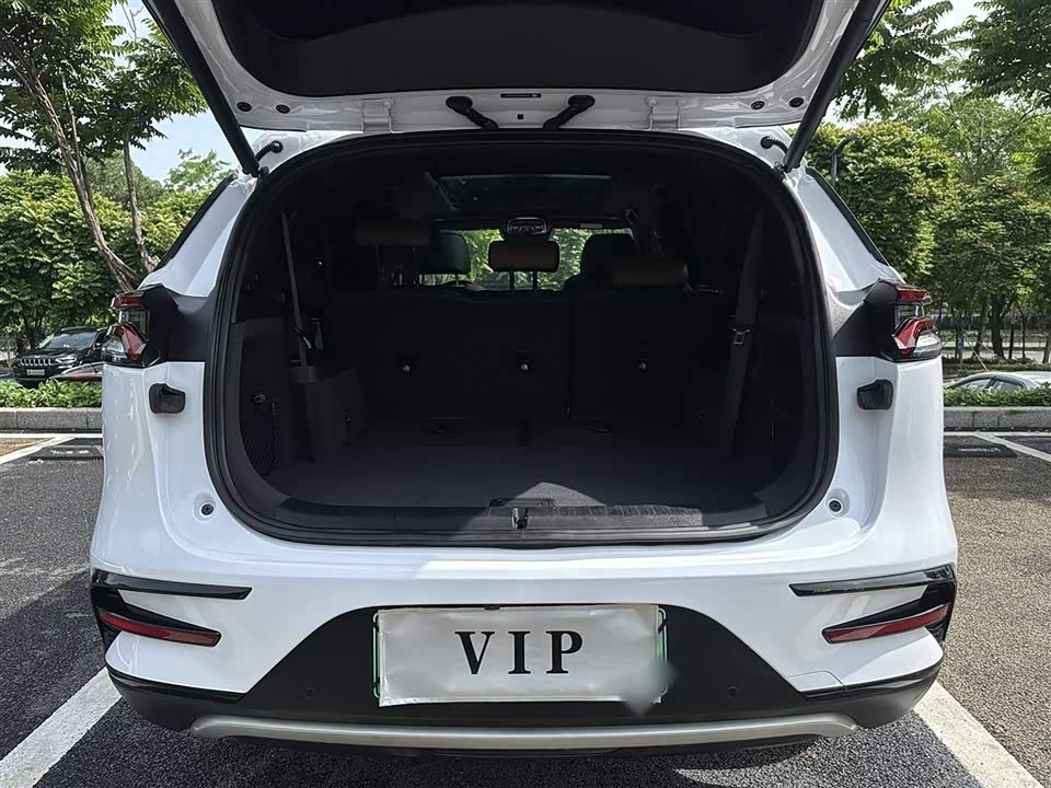 BYD Tangxin Energy BYD Tangxin Energy