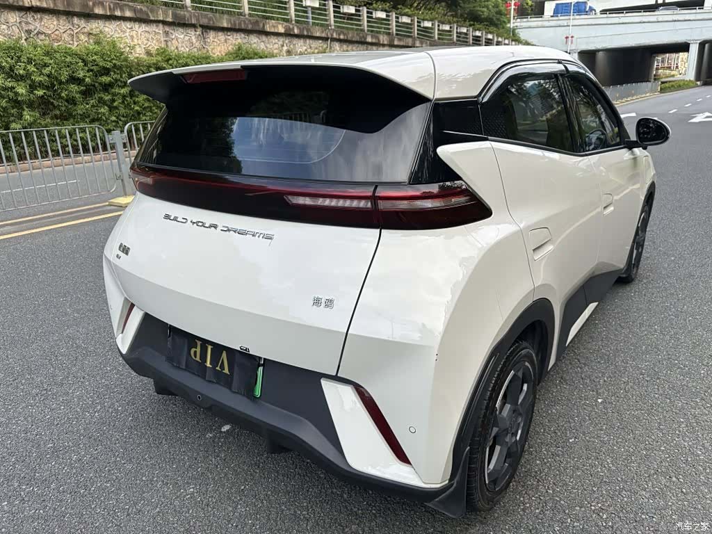 BYD Seagull, 2023 4