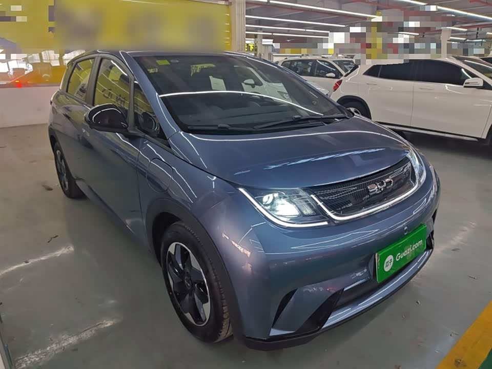 BYD dolphin
