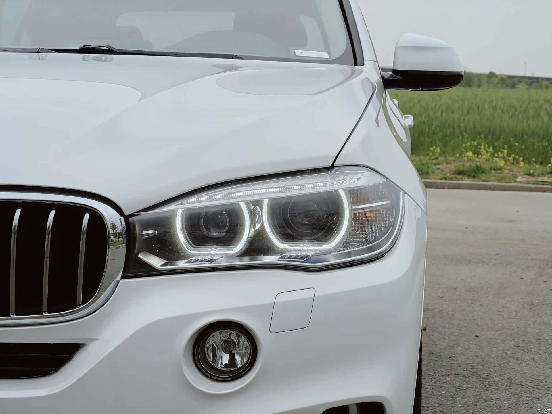 BMW X5, 2017 все фото