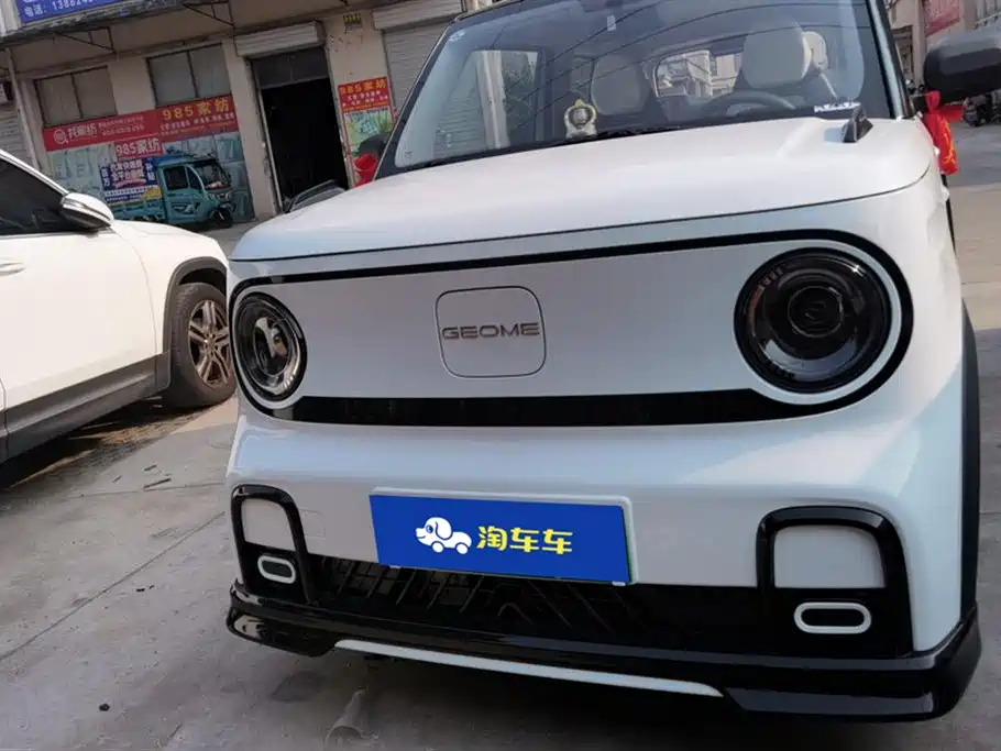 Geely Galaxy panda