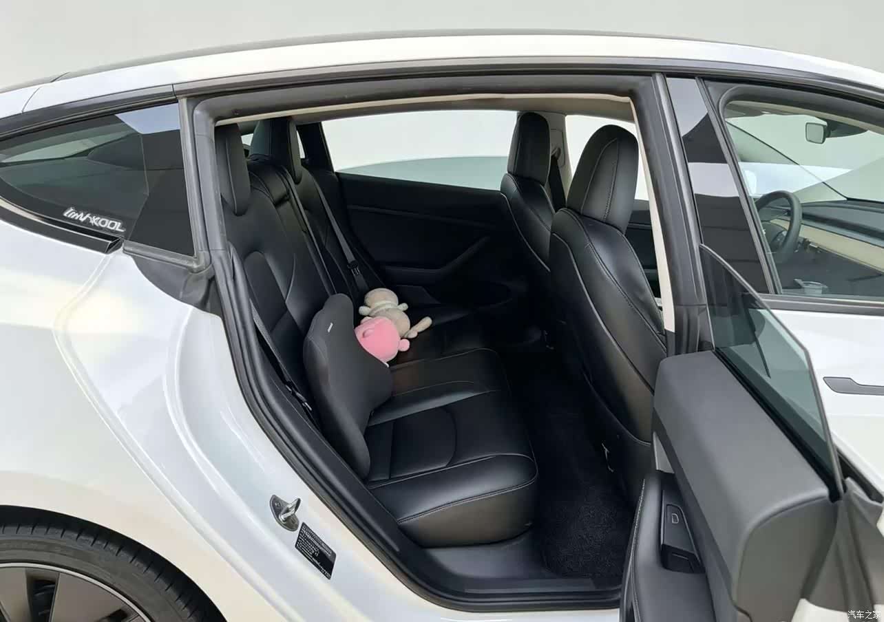 Tesla Model 3, 2021 10