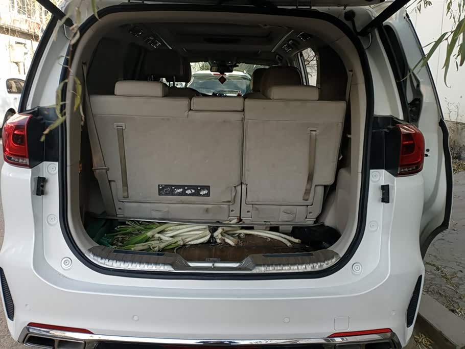 Trumpchi Trumpchi M8