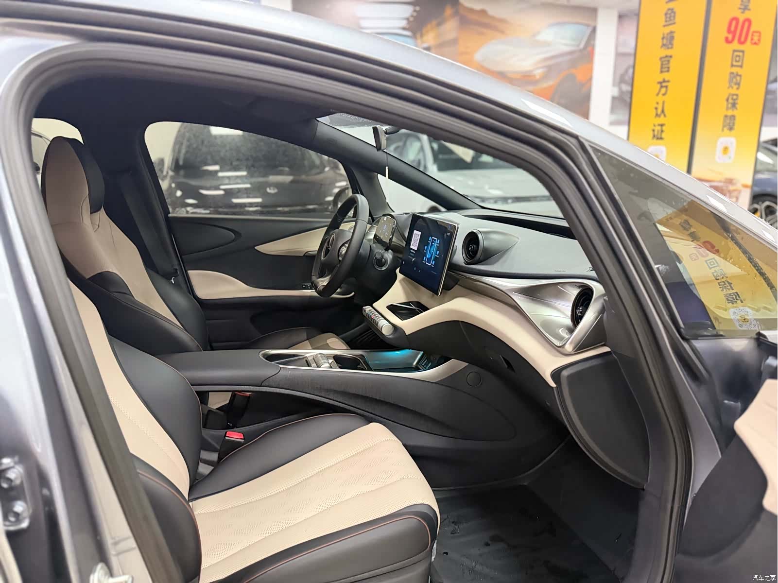 BYD Dolphin, 2024 12