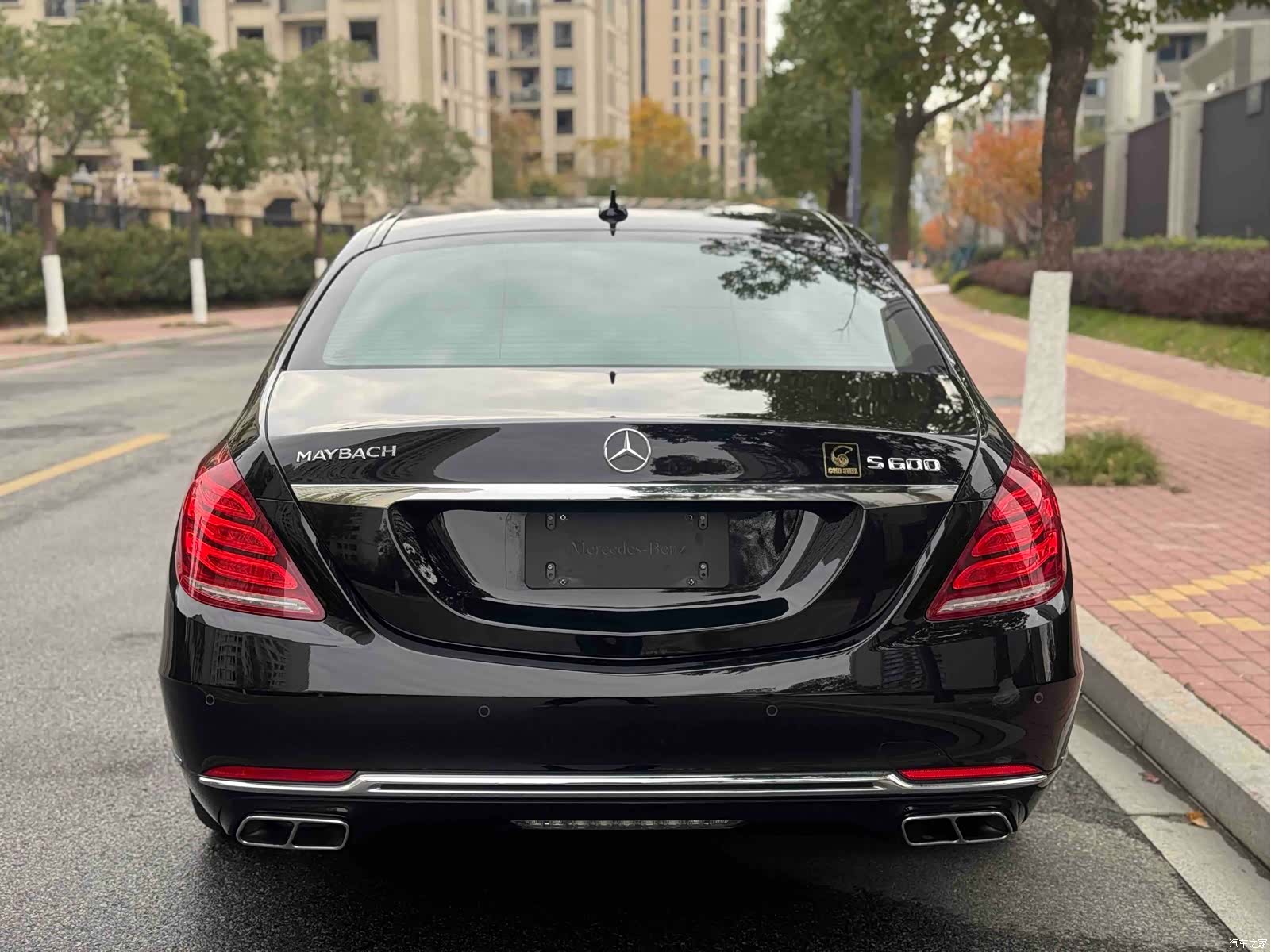 Maybach S-Class, 2016 14