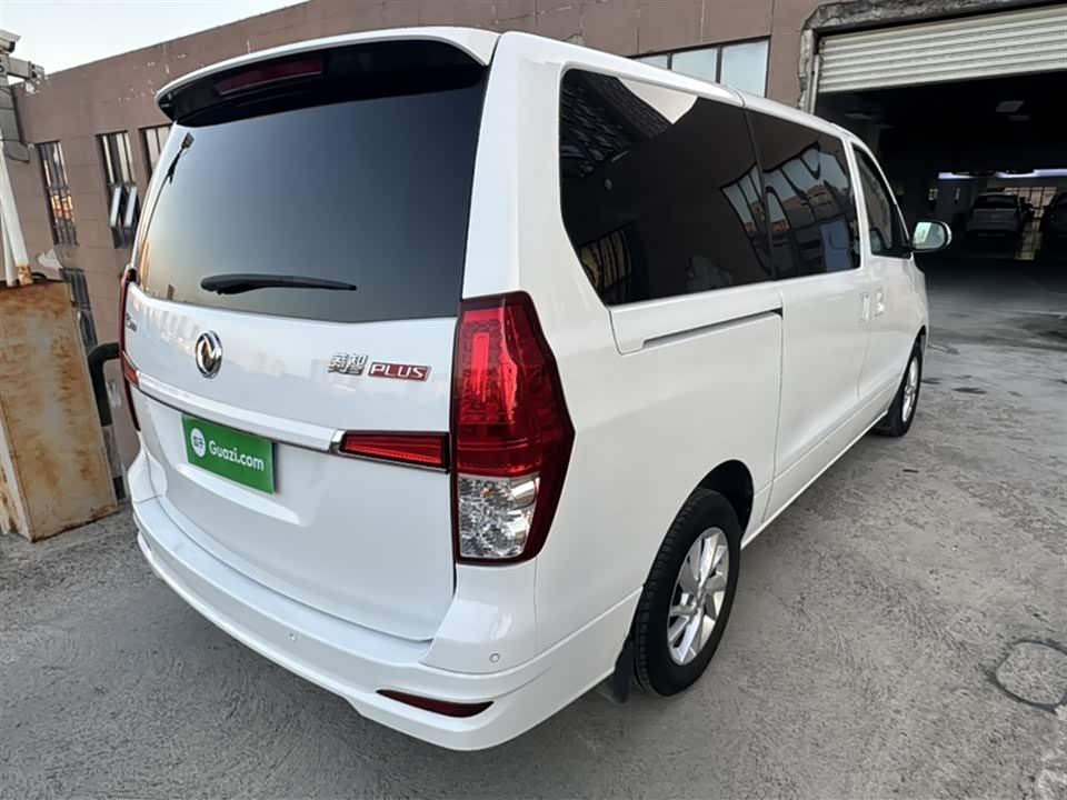 Forthing Lingzhi PLUS