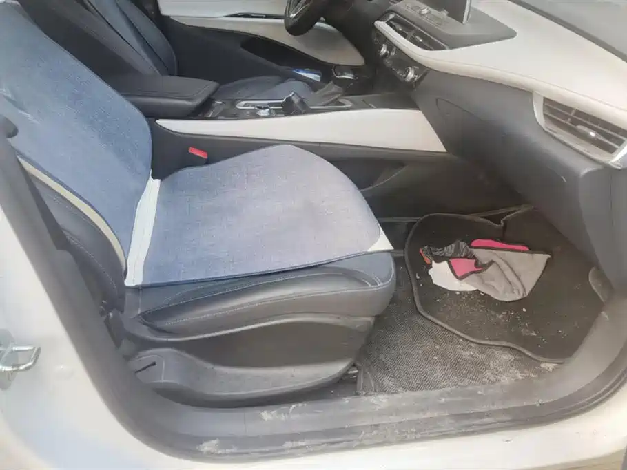 Buick Slightly blue 6