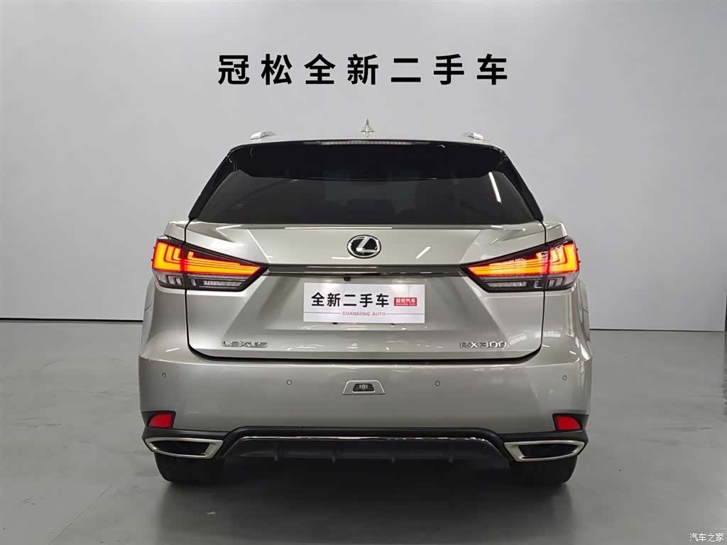 Lexus RX, 2020 все фото