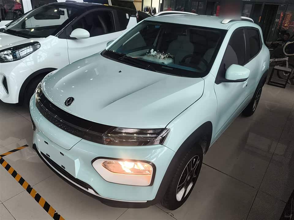 Dongfeng Nammi EX1