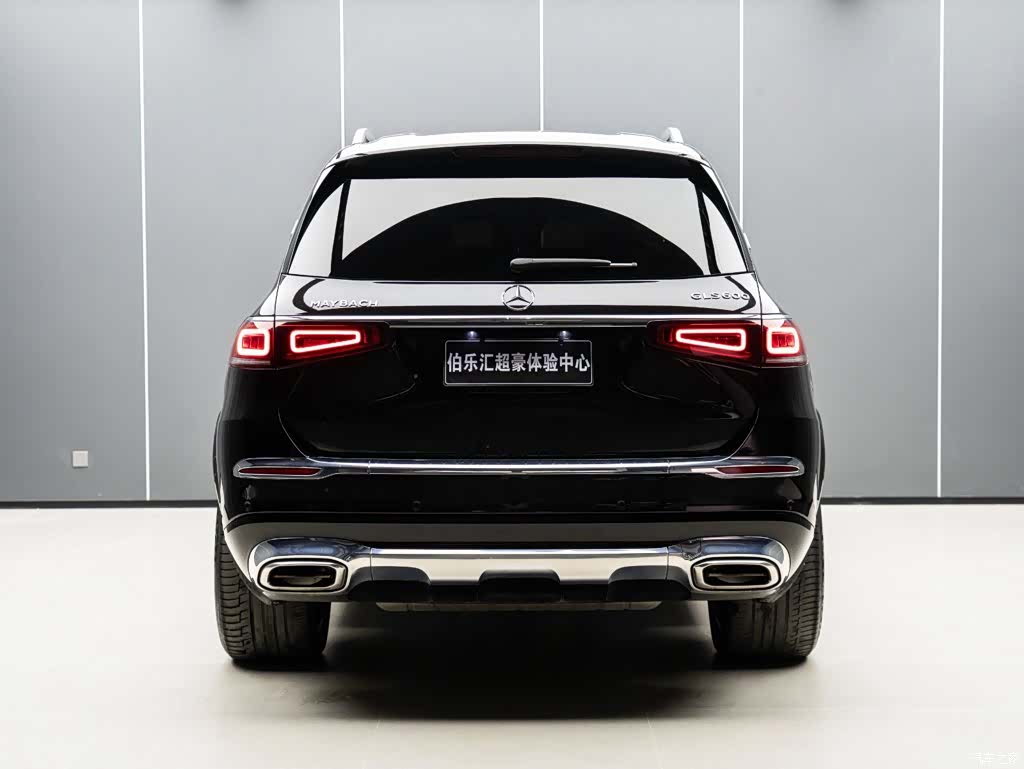 Maybach GLS, 2022 6