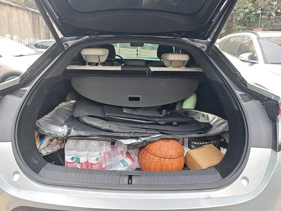 ARCFOX Polar Fox Alpha S