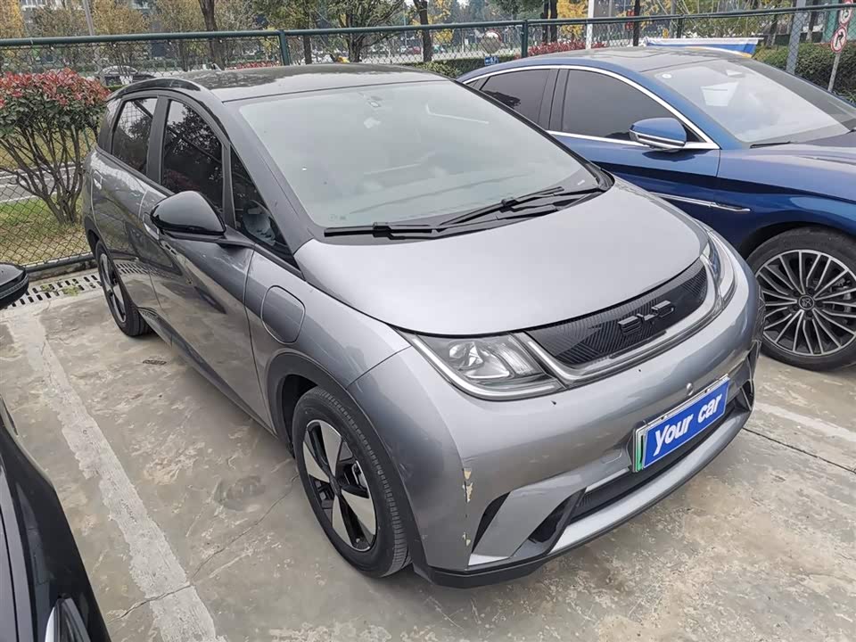 BYD dolphin