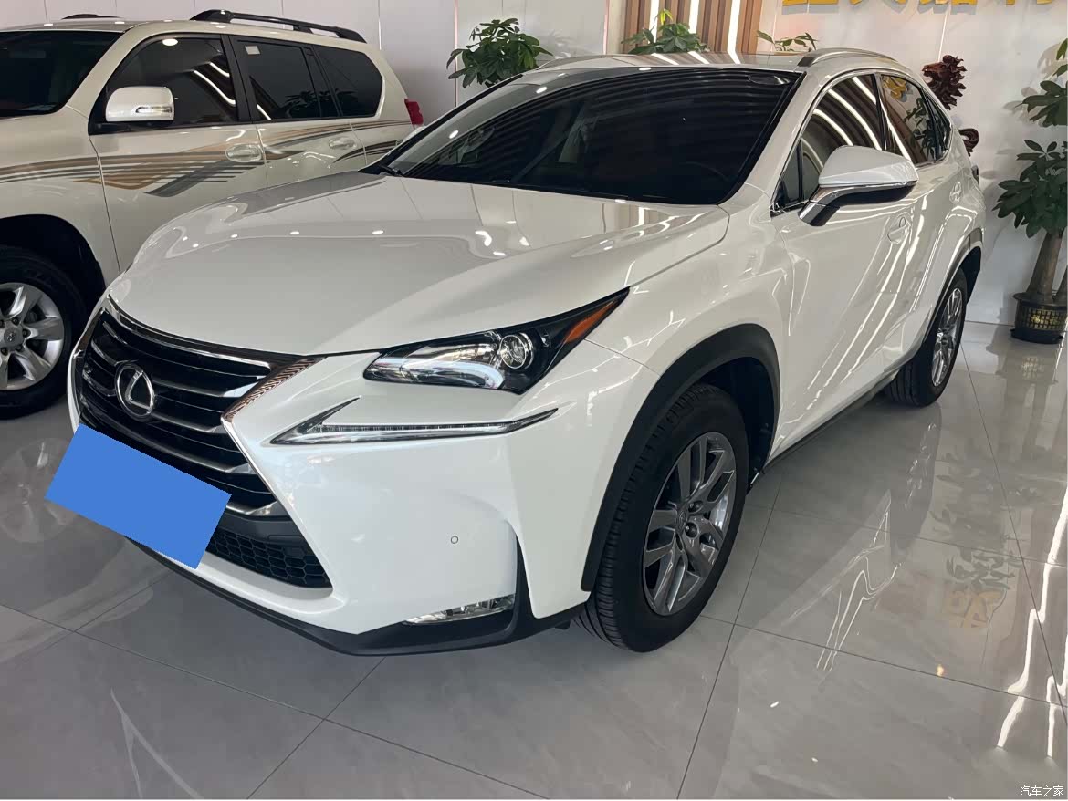 Lexus NX, 2015 1