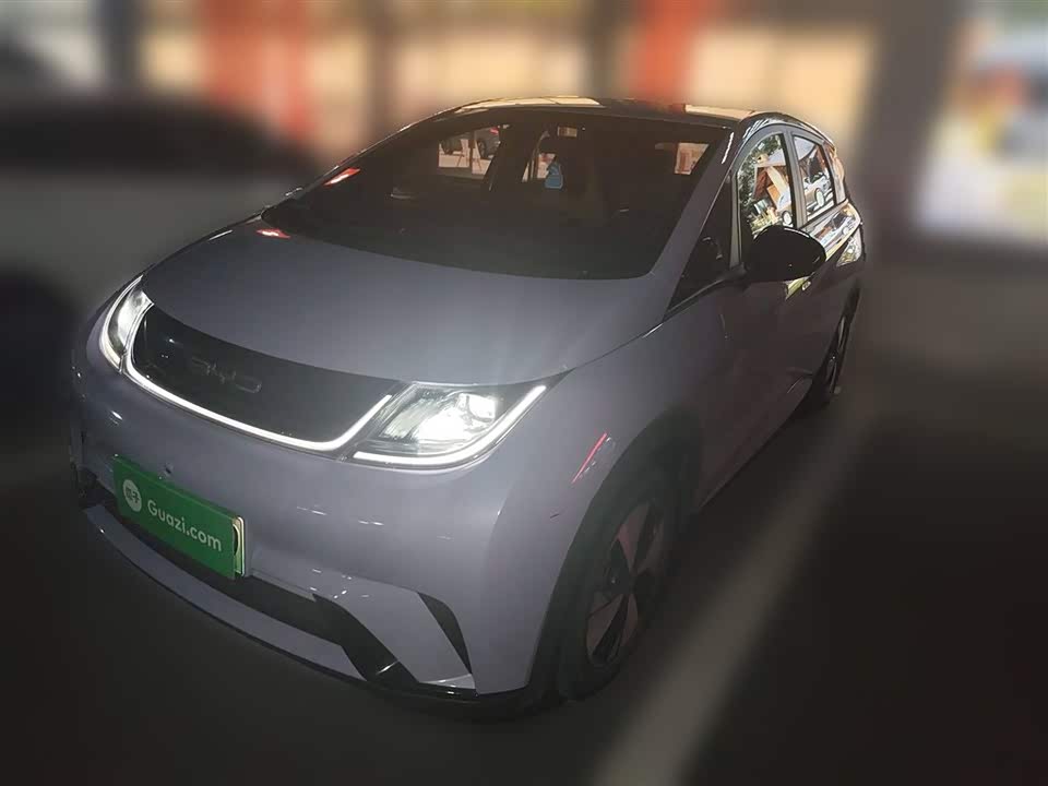 BYD dolphin