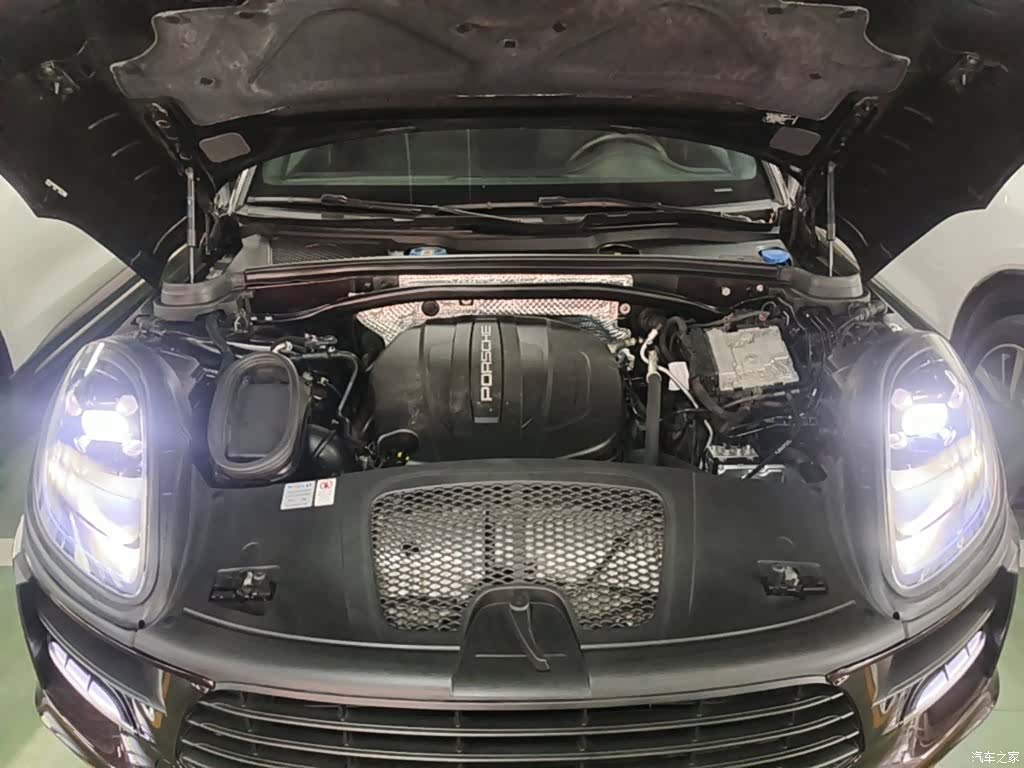 Macan Macan, 2020 20