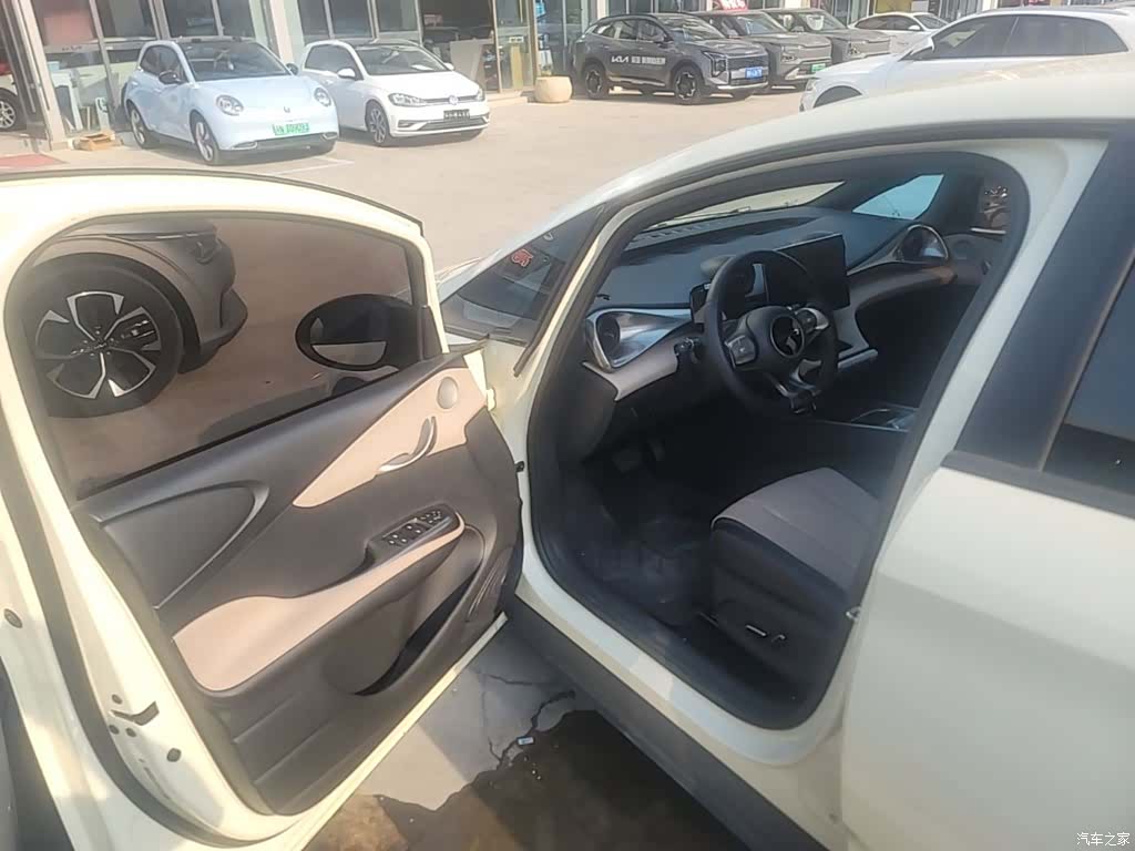 BYD Dolphin, 2024 12
