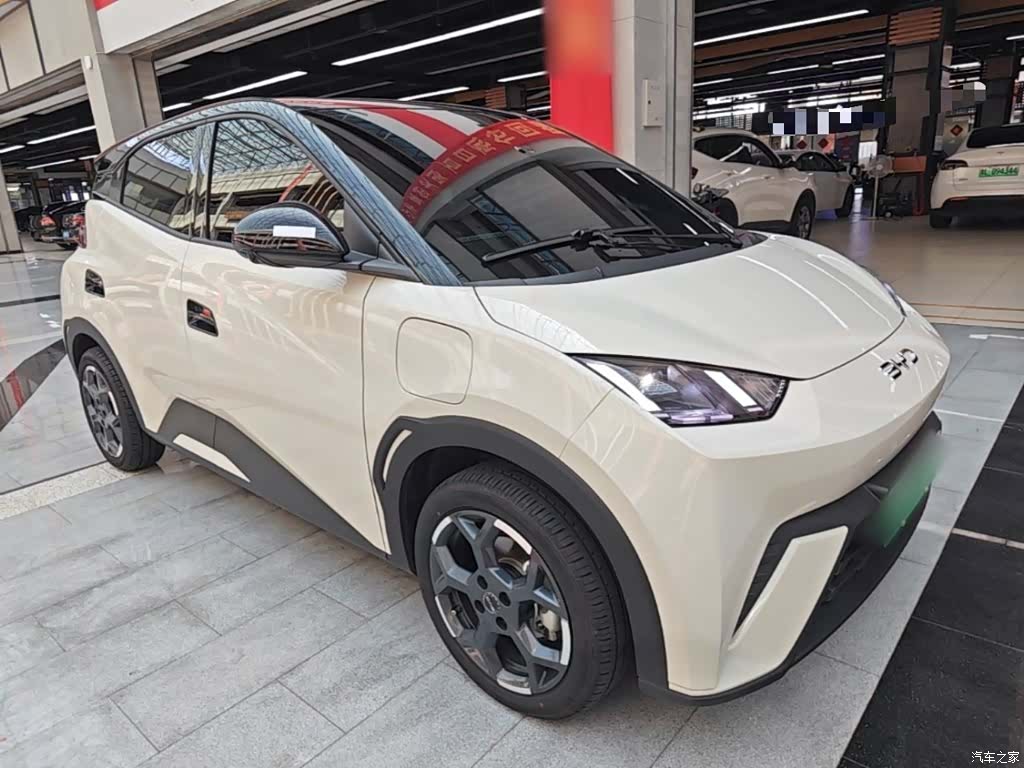 BYD Seagull, 2025 4