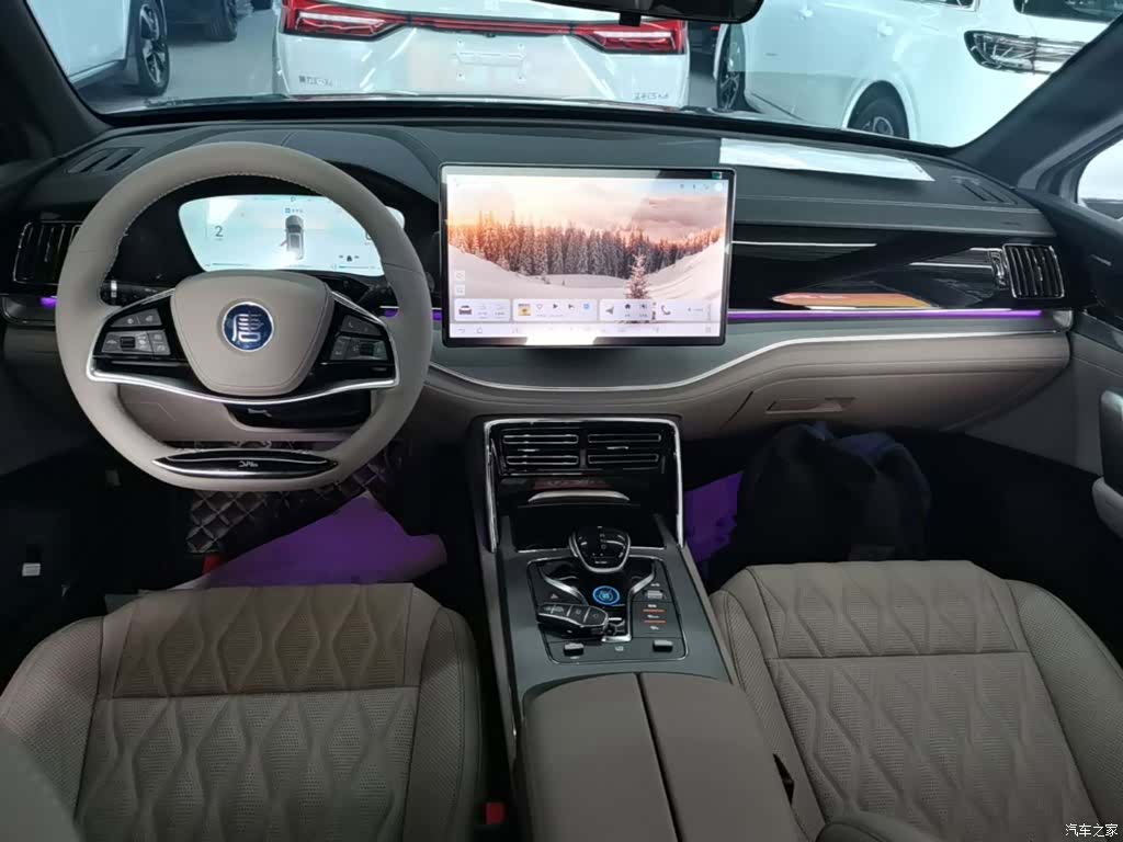 BYD Tang, 2024 10