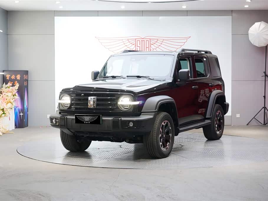 Tank 300