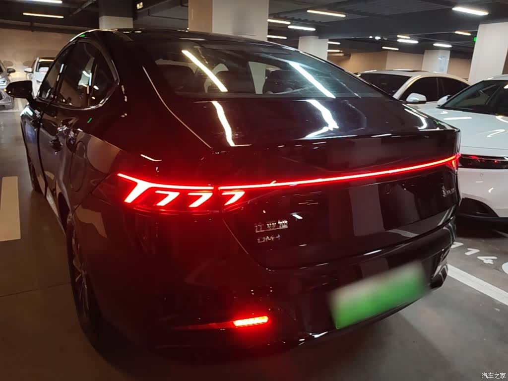 BYD Qin, 2025 все фото