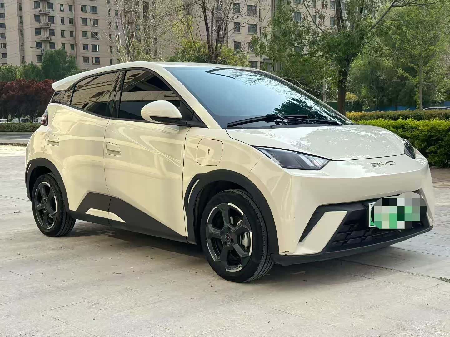 BYD Seagull, 2024 3