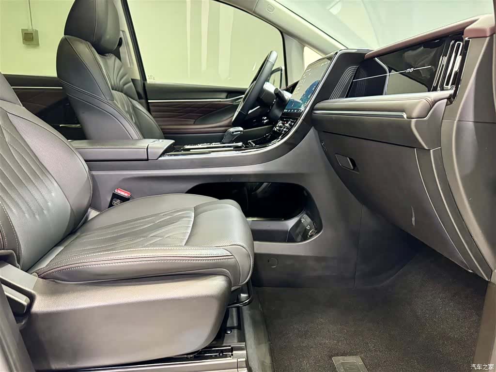 Trumpchi M8, 2025 19