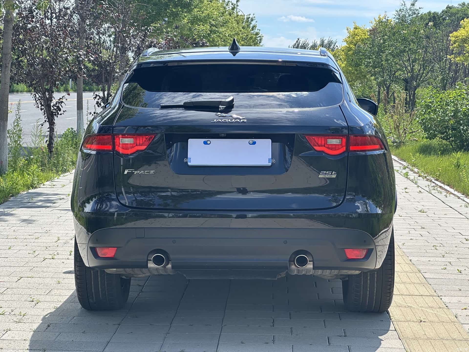Jaguar F-PACE, 2020 все фото