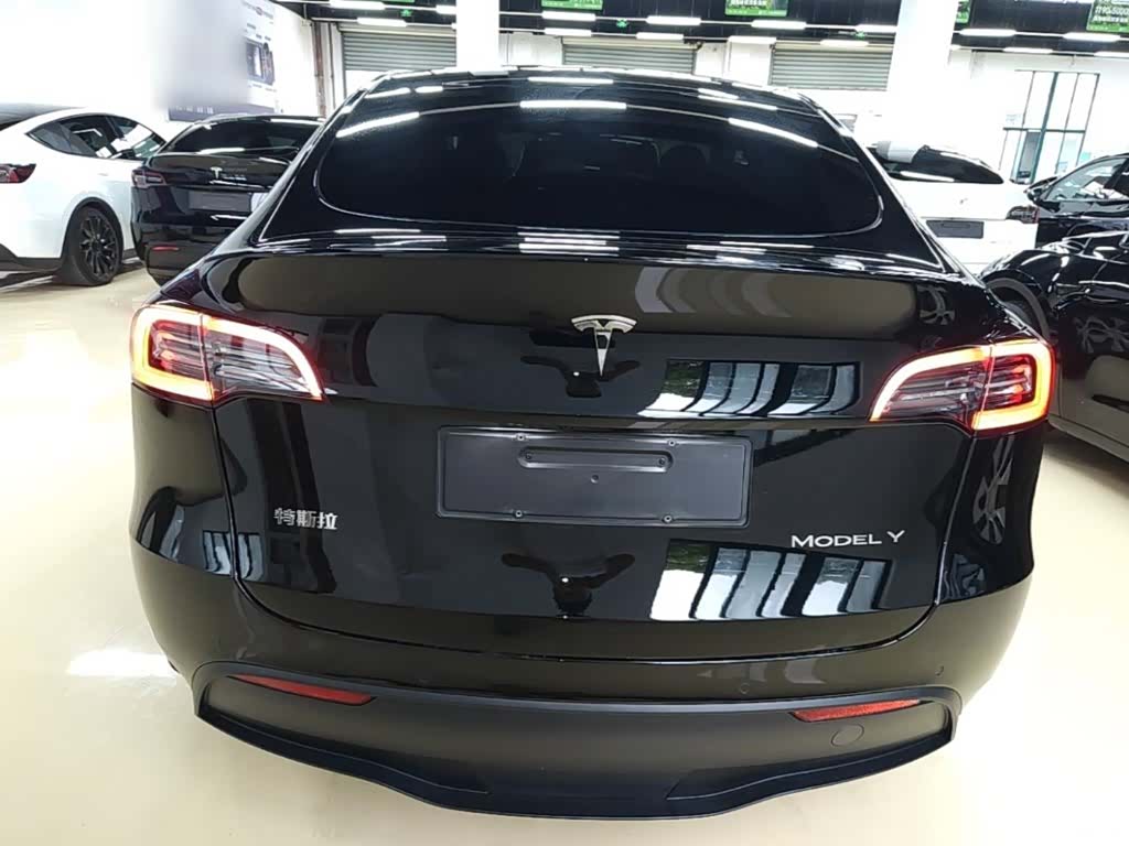 Tesla Model Y, 2022 6