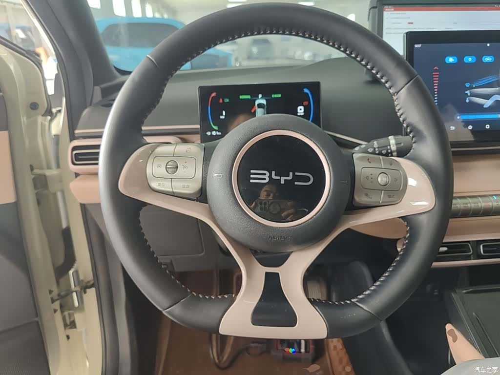BYD Seagull, 2024 11