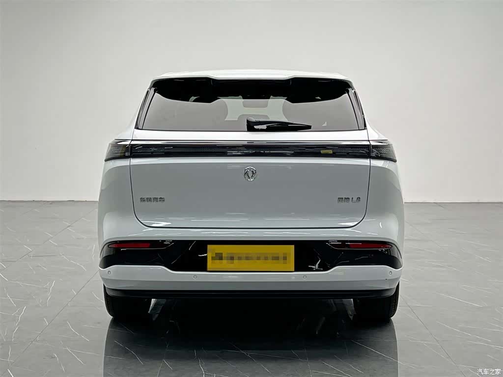 DongFeng L8, 2025 все фото