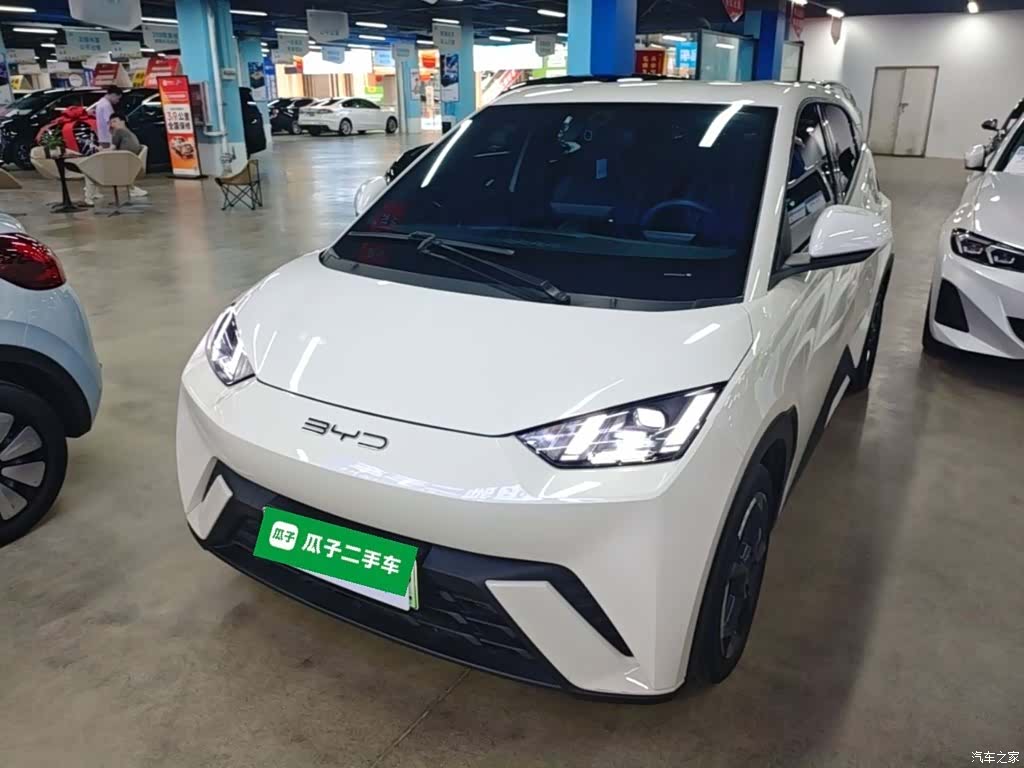 BYD Seagull, 2024 1