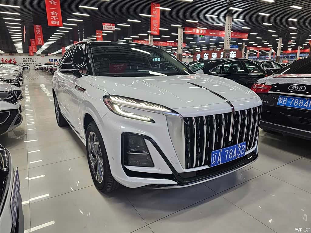 Hongqi HS3, 2023 6