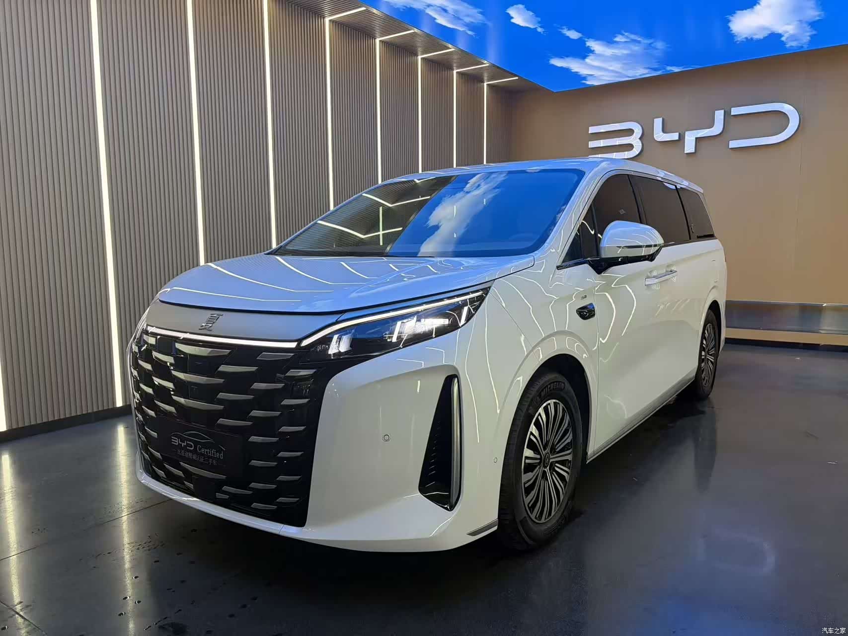 BYD Xia, 2025 1