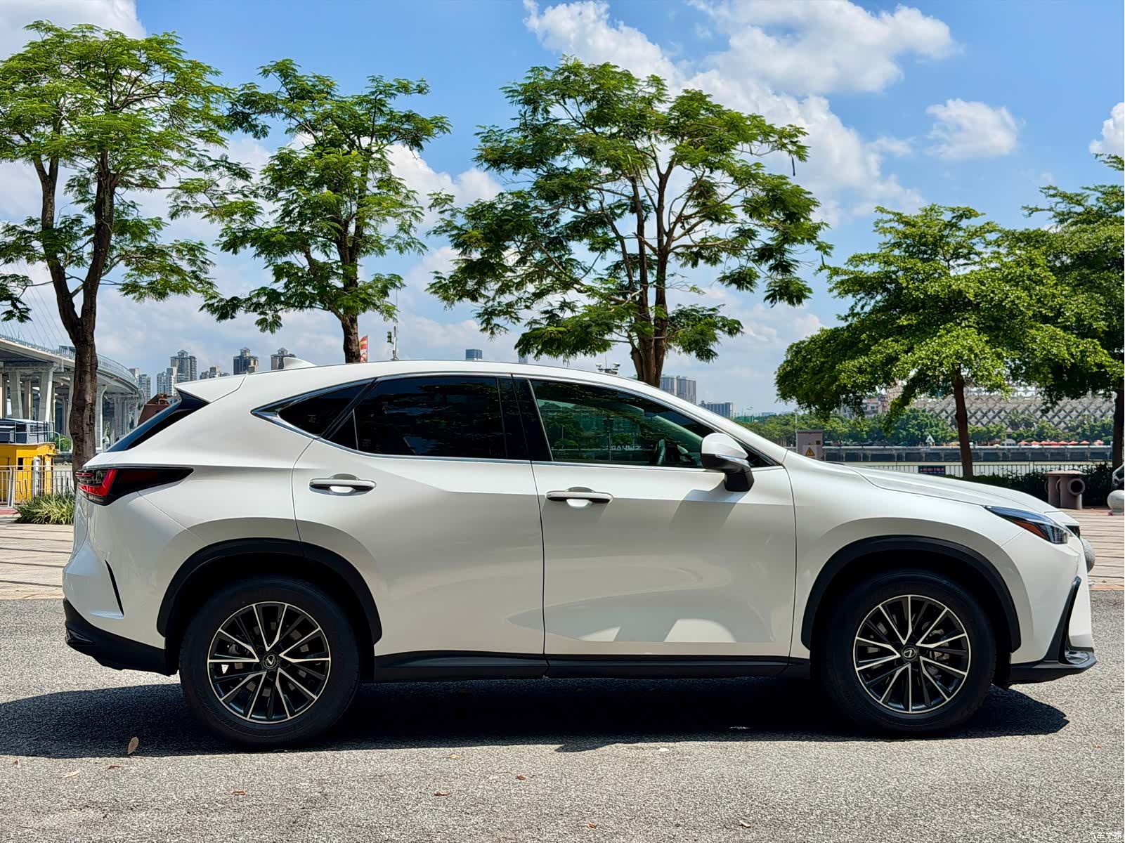Lexus NX, 2024 6