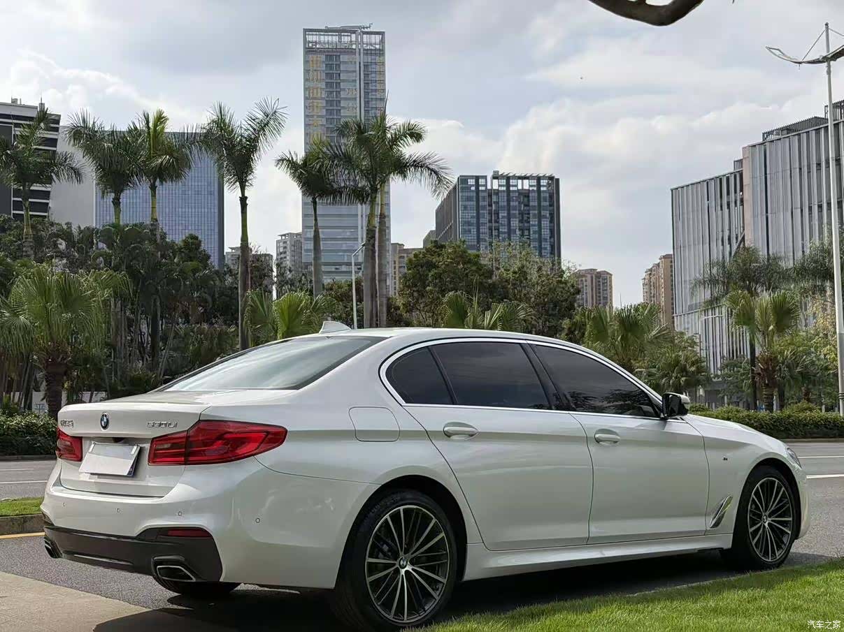BMW 5 Series, 2020 3