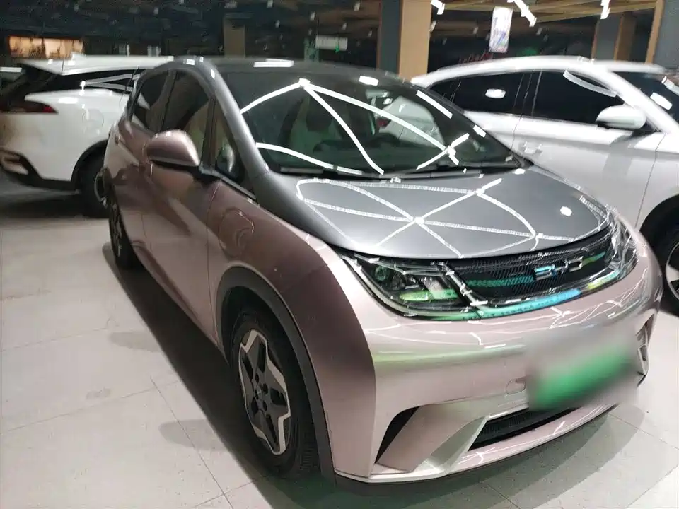 BYD dolphin