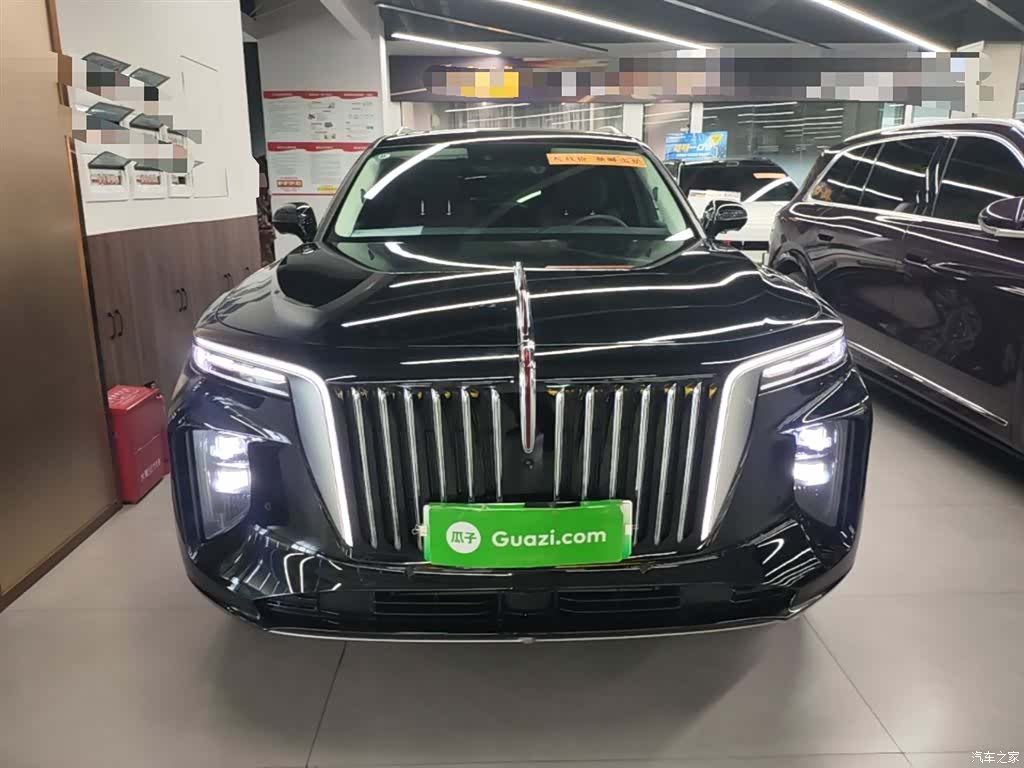 Hongqi E-HS9, 2023 3