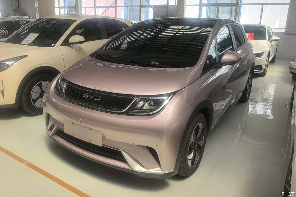 BYD Dolphin, 2024 1