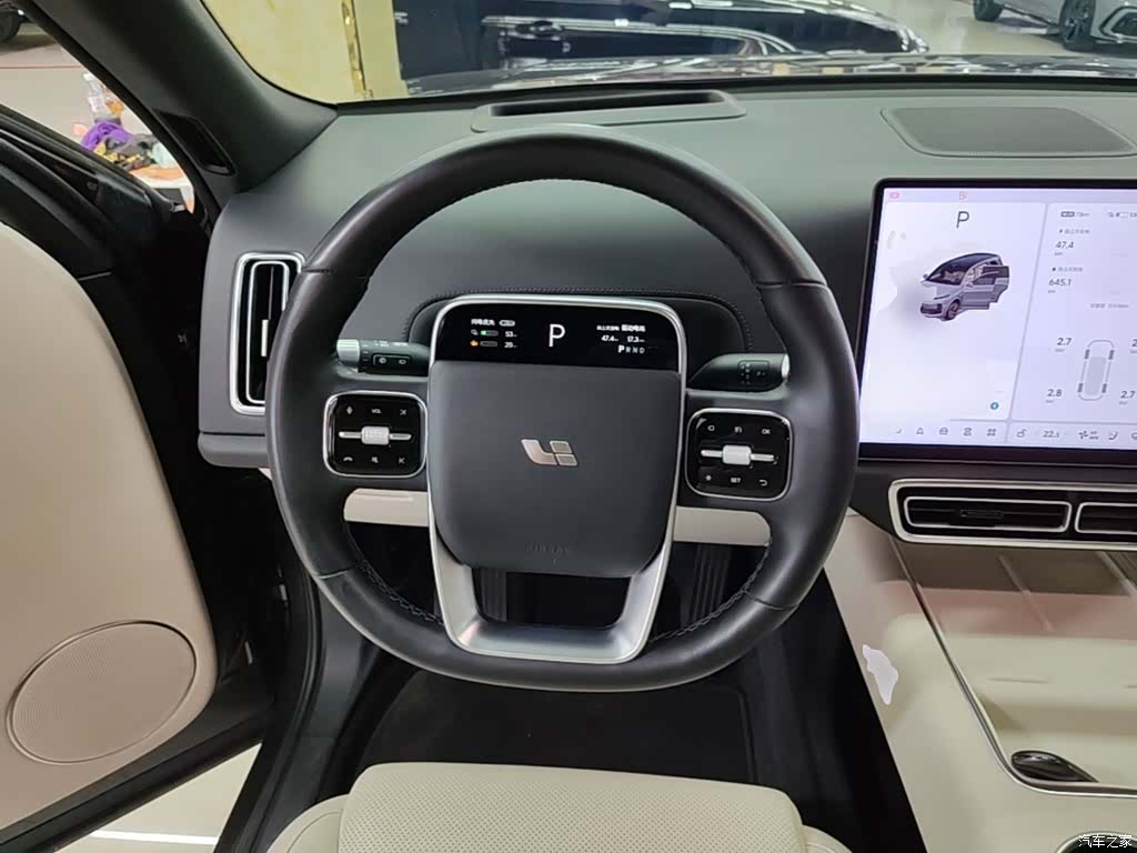 Li Auto L9, 2023 11