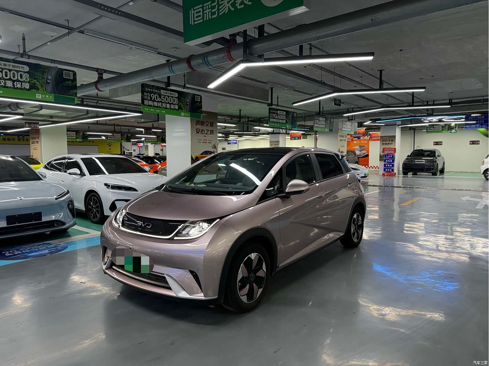 BYD Dolphin, 2024 1